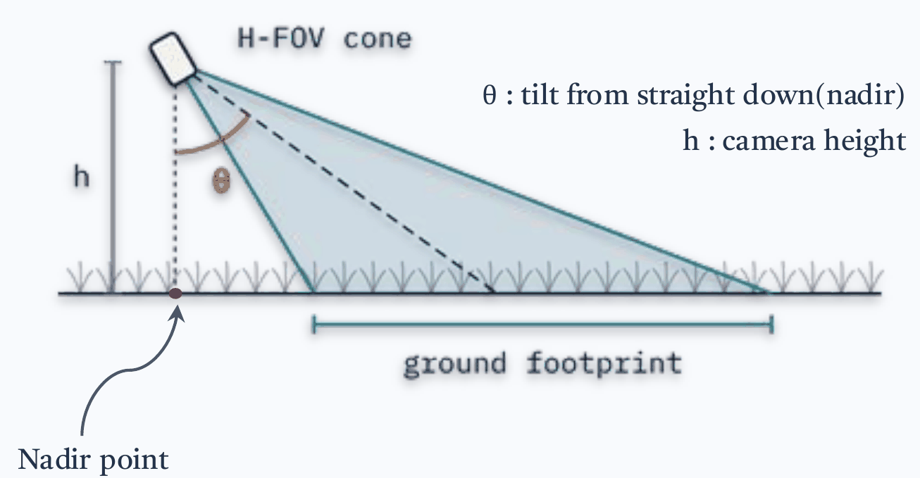 Anatomy of a capture